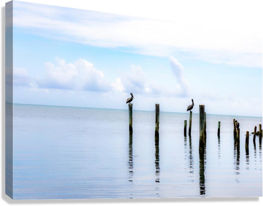 Florida Keys Down Time