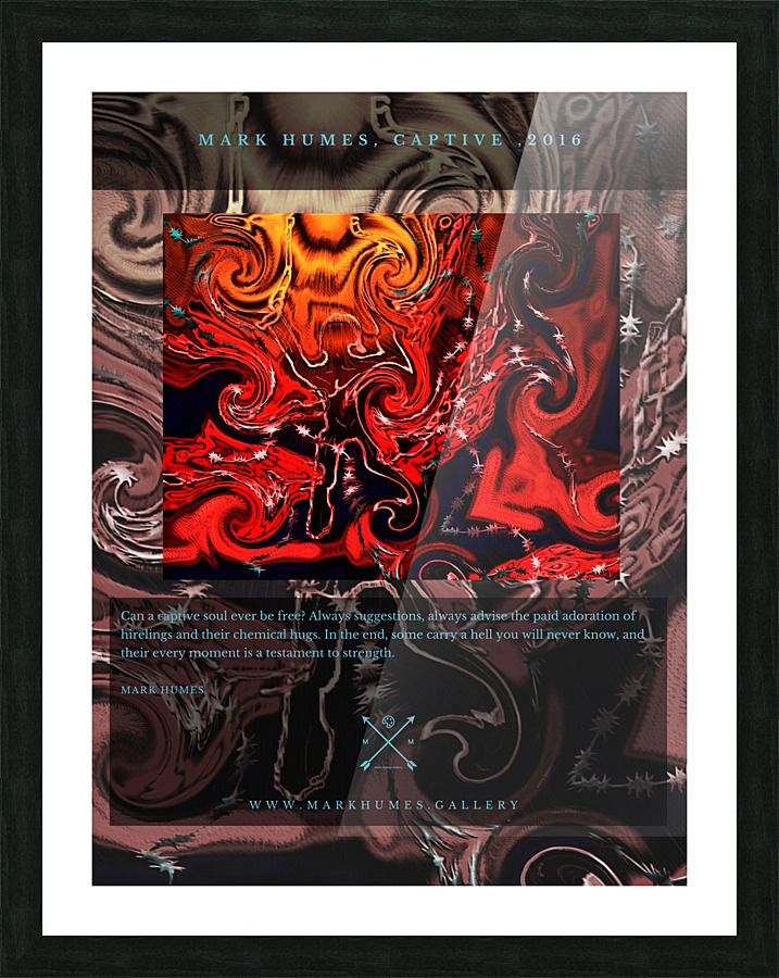 Captive Collectors Poster Picture Frame Printing
