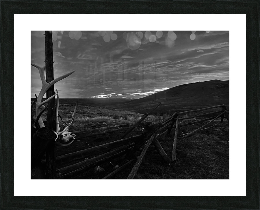 IMG 8626 2 Picture Frame print