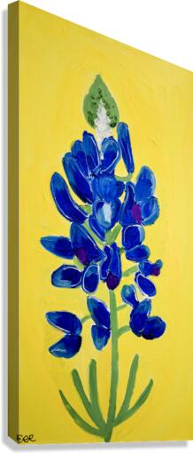 Texas Bluebonnet. Erin R Canvas Print