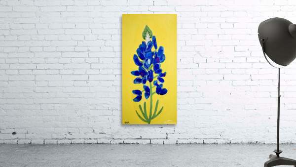 Texas Bluebonnet. Erin R Wall Preview