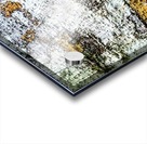 Aussie Gum Tree Bark - 2 Acrylic print
