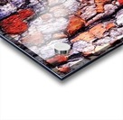 Aussie Gum Tree Bark - 4 Acrylic print
