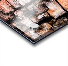 Aussie Gum Tree Bark - 5 Acrylic print