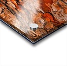 Aussie Gum Tree Bark - 6 Acrylic print