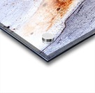 Aussie Gum Tree Bark - 20 Acrylic print
