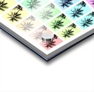Palm Tree Collage 3 Acrylic print