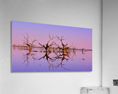 Twin Reflections - Pamamaroo Lake Acrylic Print