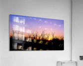 Sunset Silhouette Acrylic Print