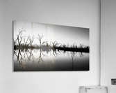 B W Lake Sunset Acrylic Print