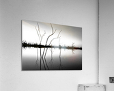 Sunset Reflections B W Acrylic Print