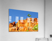 Lone Ghost Gum Tree Acrylic Print