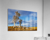 After the Storm Acrylic Print