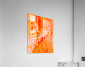 Salmon Bark Acrylic Print