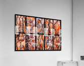 Pine Tree Bark Montage Acrylic Print