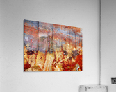 Corrugated Iron Series 14 Acrylic Print
