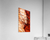 Australia Rocks - Abstract 28 Acrylic Print