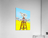 Windmill and Galahs Acrylic Print