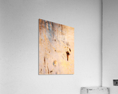 Ghost Gum Bark - 1 Acrylic Print