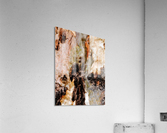Ghost Gum Bark - 3 Acrylic Print