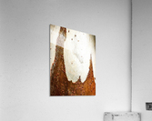 Ghost Gum Bark - 2 Acrylic Print