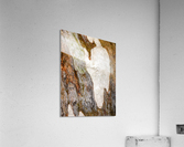 Ghost Gum Bark - 5 Acrylic Print