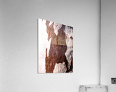 Ghost Gum Bark - 6 Acrylic Print