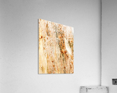 Aussie Gum Tree Bark - 1 Acrylic Print