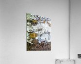 Aussie Gum Tree Bark - 2 Acrylic Print