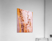 Scribbly Gum Tree Bark 2 Acrylic Print