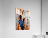 Murray Gum Tree Bark 5 Acrylic Print