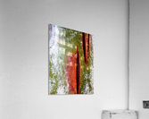 Murray Gum Tree Bark 10 Acrylic Print