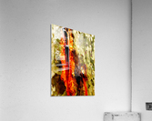 Aussie Gum Tree Bark - 11 Acrylic Print