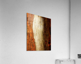Murray Gum Tree Bark 17 Acrylic Print