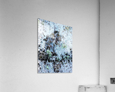 Aussie Gum Tree Bark - 11 Acrylic Print