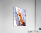 Aussie Gum Tree Bark - 20 Acrylic Print