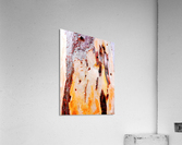 Aussie Gum Tree Bark - 21 Acrylic Print