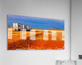Road Train to Somewhere Acrylic Print