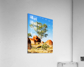 Landscape - Devils Marbles Acrylic Print
