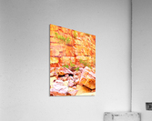 Surviving - Ormiston Gorge Acrylic Print