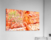 Pink Delight - Ormiston Gorge Acrylic Print