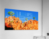 Skyline - Ormiston Gorge Acrylic Print