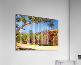 Dry River - Ormiston Gorge Acrylic Print