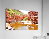 Waterhole - Ormiston Gorge Acrylic Print