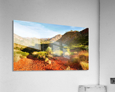Pound Track - Ormiston Gorge Acrylic Print