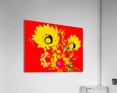 Rainbow Flower - Red Acrylic Print