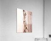 Ghost Gum Bark - 8 Acrylic Print