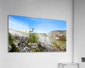 Looking to Beefan Mountain Acrylic Print