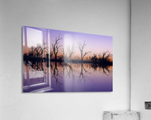 Sunset Reflection on Pamamaroo Acrylic Print