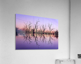 Tree Skeleton Silhouettes Acrylic Print